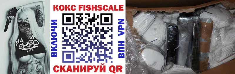 Купить закладки  Каргополь  COCAIN FishScale 