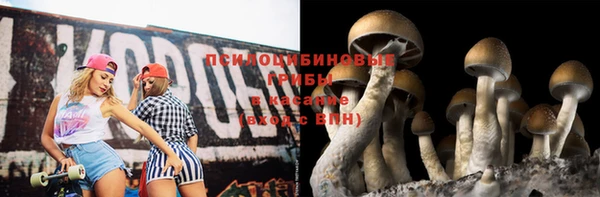 эйфоретик Краснослободск
