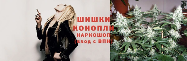 тгк Корсаков