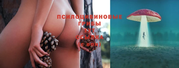 тгк Корсаков