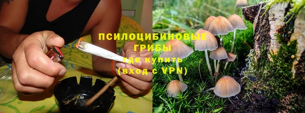 тгк Корсаков