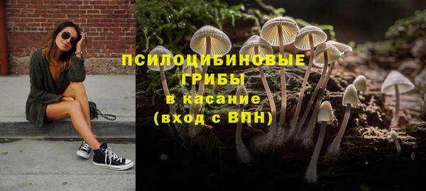 mix Костерёво