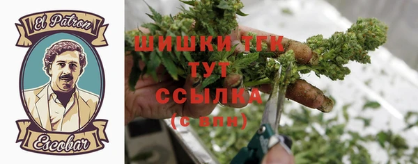 эйфоретик Краснослободск
