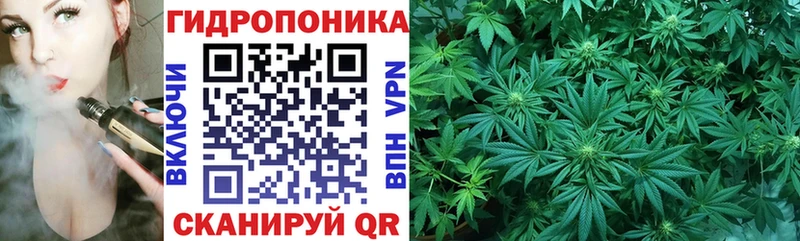 Купить закладки  Каргополь  Бошки марихуана индика 
